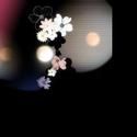 Dumbo Arts Center Presents FIELD TRANSITIONS: MEMORY SCREENS 7/22-8/8