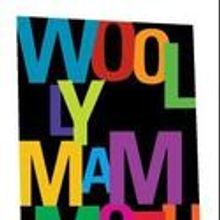 Woolly Mammoth Theatre Co Presents IN THE NEXT ROOM OR THE VIBRATOR PLAY