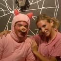 Way Off Broadway Presents CHARLOTTE'S WEB, Opens 8/21