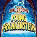 YOUNG FRANKENSTEIN Comes To Pantages Theatre 7/27-8/8