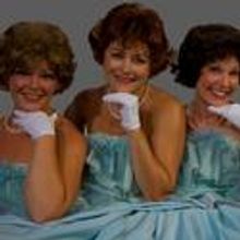 Electric City Playhouse Presents The Taffetas 8/19-9/5