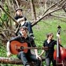 The Devil Makes Three Play the Outside Lands Music & Arts Fest