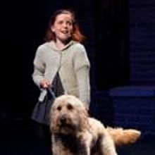 Photo Flash: The Town Players Present ANNIE