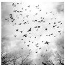 Donmar's KING LEAR To Be Broadcast by NT Live Feb 3 2011