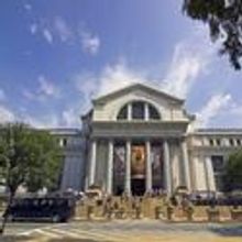 AMNH 34th Annual Margaret Mead Film & Video Festival Held 11/11-14