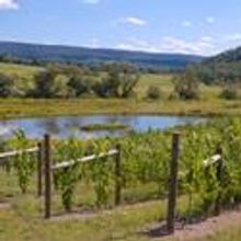 Pittsburgh Cultural Trust's Wednesday Wine Flights Return 9/1