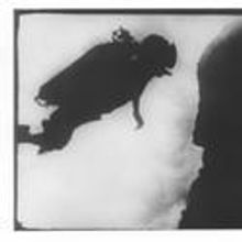 Inova 2010-11 Season To Open With Two Concurrent Exhibitions 