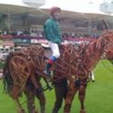 Photo Flash: WAR HORSE At Sandown Variety Club Day