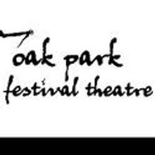 Oak Park Festival Theatre Presents Megan Wells in DRACULA 10/7