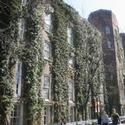 The Arsenal Gallery Presents ARBOREAL: A GROUP EXHIBITION 9/17-10/28