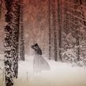 Northlight Theatre Presents A CIVIL WAR CHRISTMAS 11/11-12/19