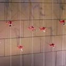 Bandaloop Scales Segerstrom Hall to Start Center’s 2010 – 2011 Int'l Dance Series