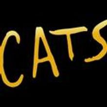 CATS Plays The Music Hall Nov. 5-7, Tickets On Sale Now