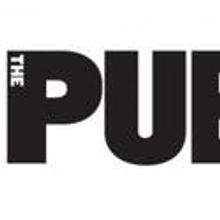 DeVries, Hensley & More Lead Cast Of The Public's That Hopey Changey Thing 