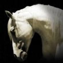 Hart House Theatre Presents EQUUS 11/12-27