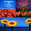 MOMIX Returns To Kick Of NOBA's Season 10/22