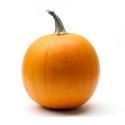Active Imagination Theatre Presents A Weenie Halloween 10/23-31