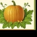 Cortland Repertory Theatre Guild Hosts Craft Fair at Pumpkin Fest 10/3-4