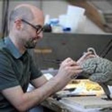 AMNH Presents BRAIN: THE INSIDE STORY, Opens 11/20