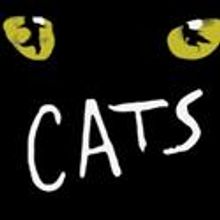 CATS Comes To Clowes Memorial Hall 11/26-28