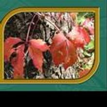 Arizona Legends Come To Life At Prescott Ghost Talk 10/23