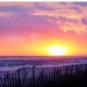 Fourth Annual Fire Island Pines Literary and Theater Weekend Held On Fire Island 10/9