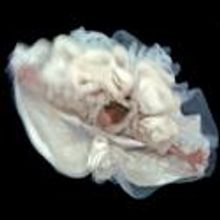 Intiman Theatre Presents THE SCARLET LETTER 10/22-12/5