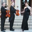 American Stage Presents OPUS 11/2-28