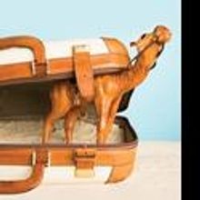 Writers' Theatre Presents Travels With My Aunt 11/9-3/27/2011