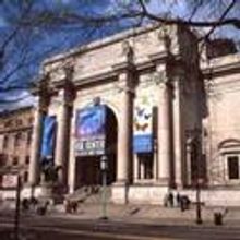Graff Diamond Unveiled at AMNH on Thursday 10/28