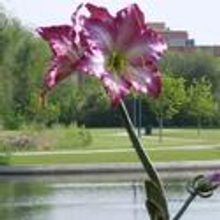 People’s Choice Award Winner Named In Northglenn CO