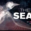 Goodman Theatre Extends Robert Falls' THE SEAGULL Thru 11/21
