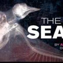 Goodman Theatre Extends Robert Falls' THE SEAGULL Thru 11/21