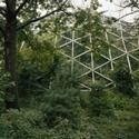 Andrea Meislin Gallery Presents Daniel Bauer 11/11
