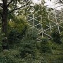 Andrea Meislin Gallery Presents Daniel Bauer 11/11