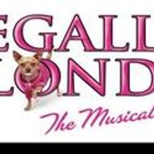 The Artist Series Presents LEGALLY BLONDE THE MUSICAL 1/11/2011