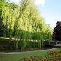 Queens Parks Employees Shine at Best of Parks Awards 10/28