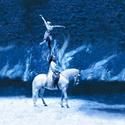 Cavalia Returns to Los Angeles 1/19/2011