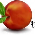 James and the Giant Peach Auditions Held At Theatre Works Peoria 12/13