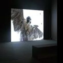 Centre Culturel Irlandais Presents International Symposium: Landscape