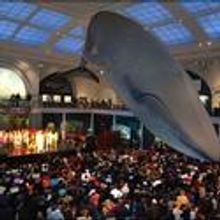 Kwanzaa Celebration Held at American Museum of Natural History 12/26