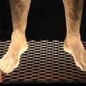 The Invisible Dog Announces July 2011 Exhibits