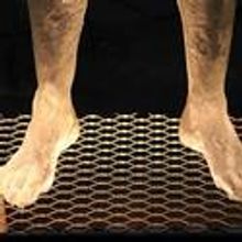 The Invisible Dog Announces July 2011 Exhibits