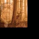Rattlestick Extends THERE ARE NO MORE BIG SECRETS Thru 12/18