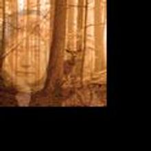 Rattlestick Extends THERE ARE NO MORE BIG SECRETS Thru 12/18