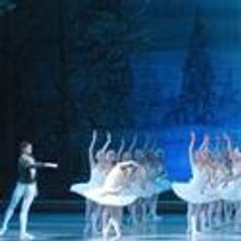 The Artist Series Presents SWAN LAKE, Opens 1/8/2011