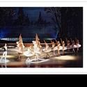 Northrop Presents Voronezh State Ballet Theatre of Russia 2/3/2011
