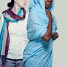 TimeLine presents Chicago Premiere of IN DARFUR, Opens 1/22/11