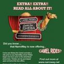 NarroWay Productions To Offer Camel Rides 12/21
