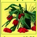 Grosse Pointe Theatre Announces Winter Classes for January, 2011